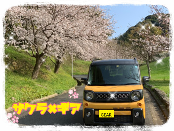 桜×スペーシア　ギア!!~お得なキャンペーン情報~